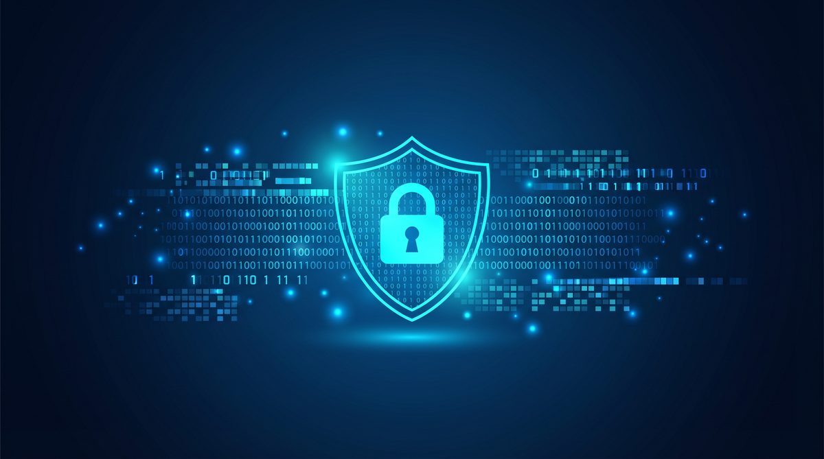 莓加速器隐私安全保护